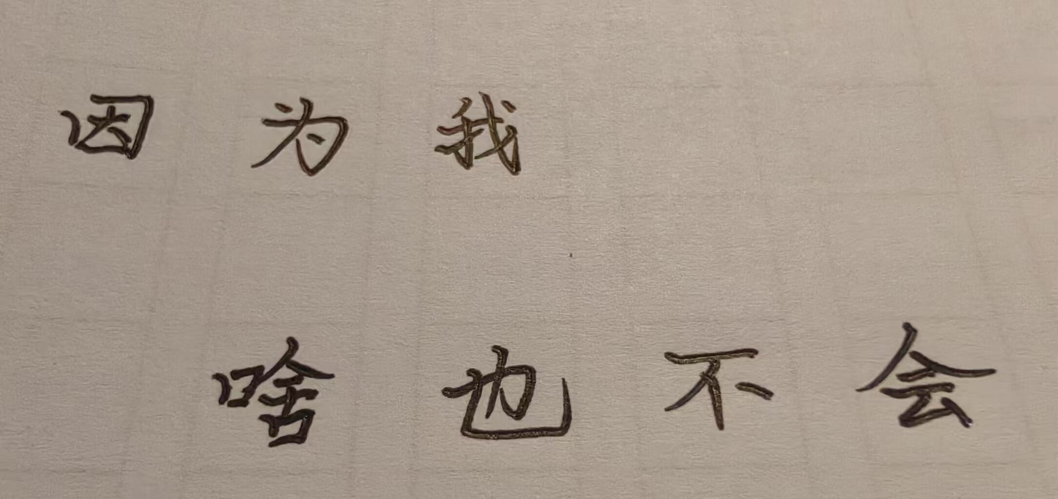 The image shows the Chinese phrase "because I don't know anything" (因为我啥也不会) written in marker on a beige background. (Captioned by AI)