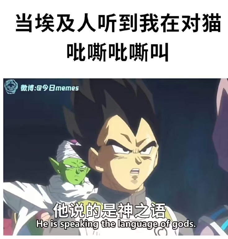 The meme features a scene from Dragon Ball Super with Vegeta stating "He is speaking the language of gods" above Chinese text describing what happens when people hear the creator talking to their cat. (Captioned by AI)