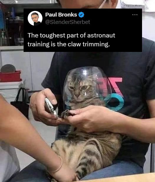 mmexport1735881232287