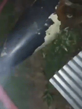 eb8dd4f409ebe4d1f32bd65d651cb486