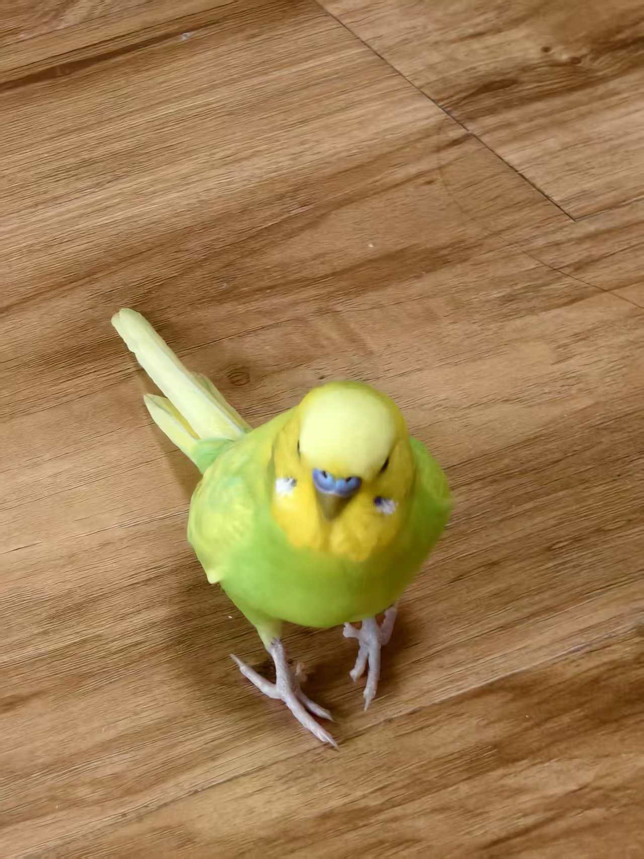 a91367d37cd2a6be65ae78850de06e98