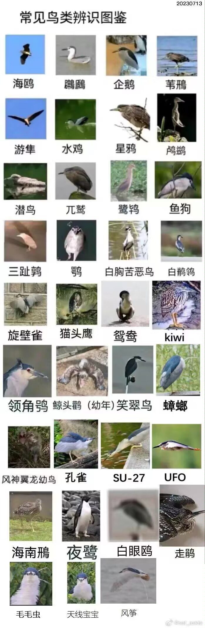 This is a grid of 30 pictures, each labeled with a Chinese name, presumably showing different types of birds. (Captioned by AI)