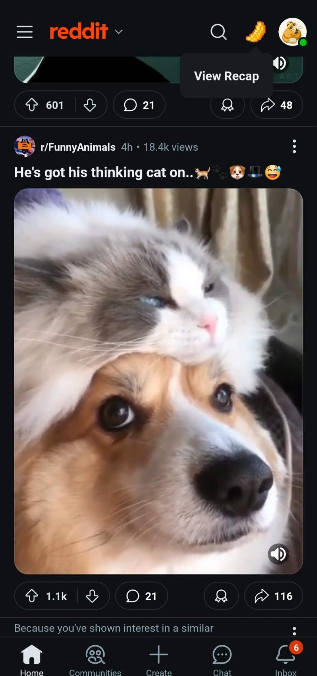 mmexport1732894823117