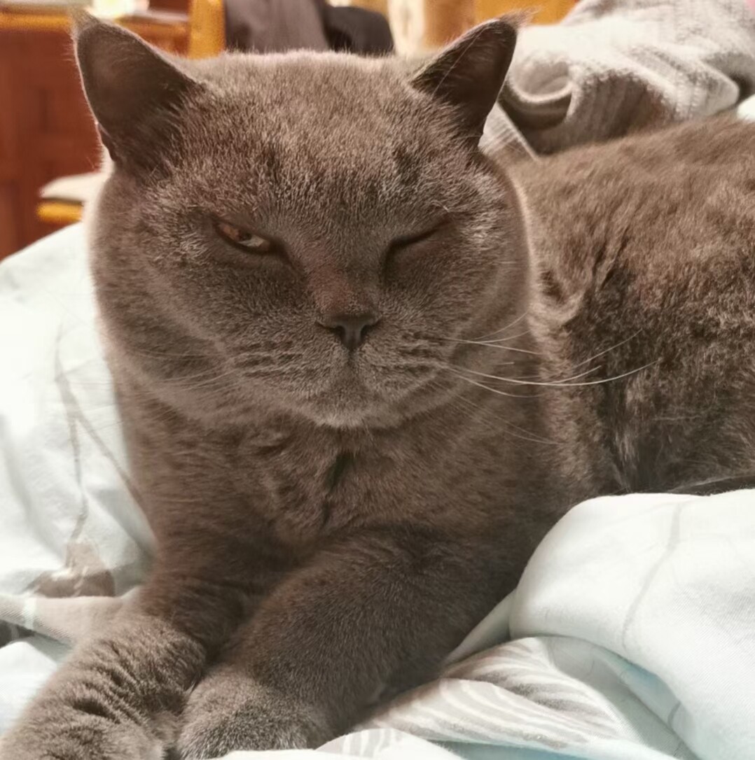 mmexport1717673162473