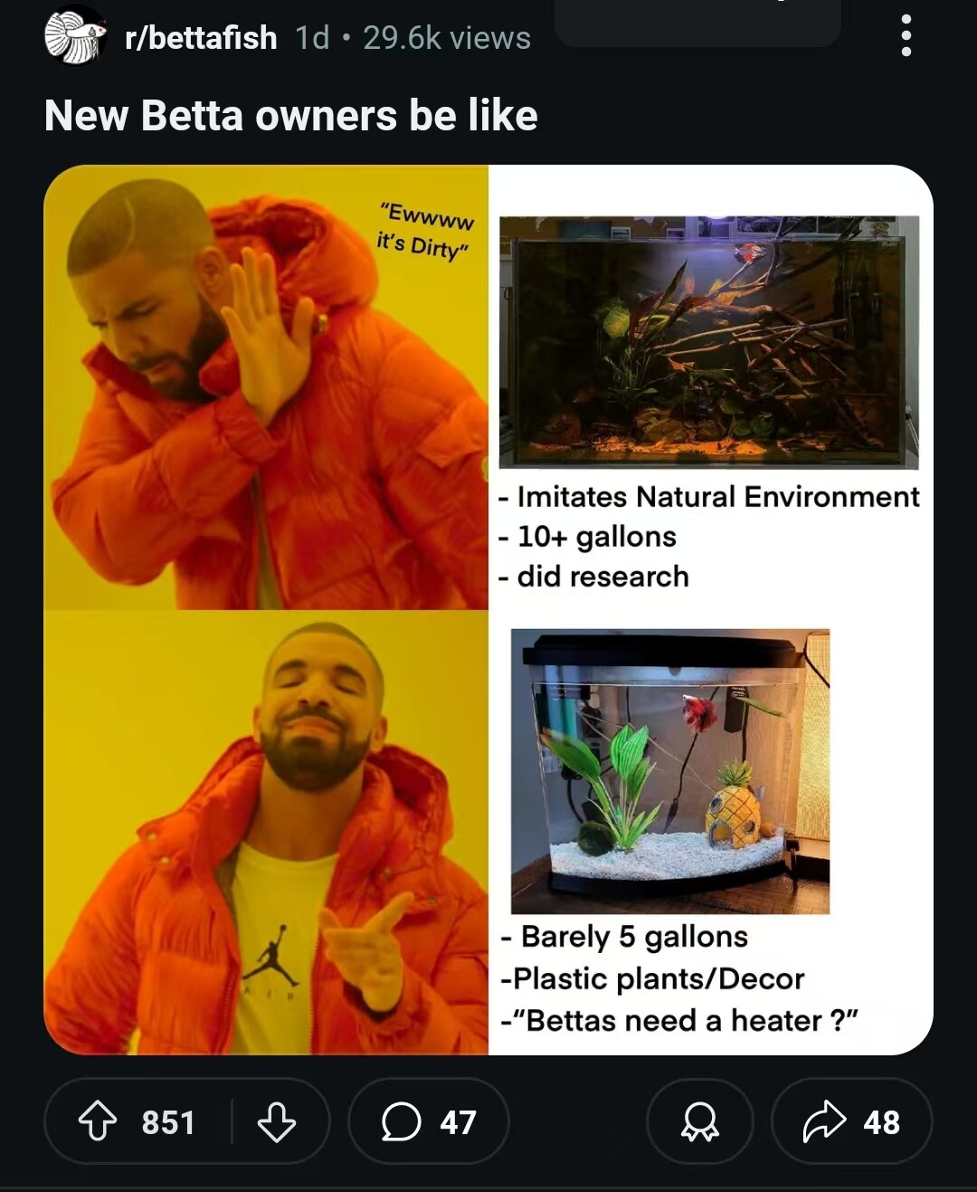 mmexport1732894561129