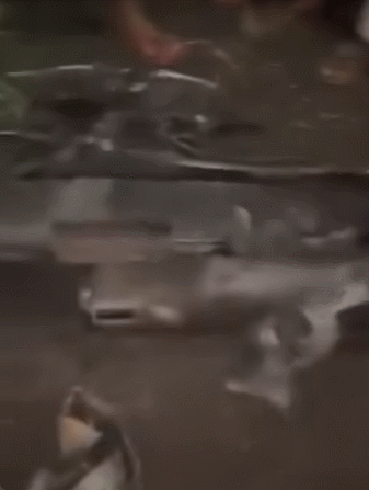 a75f142b5df763140c4bae18dcf1ecb4