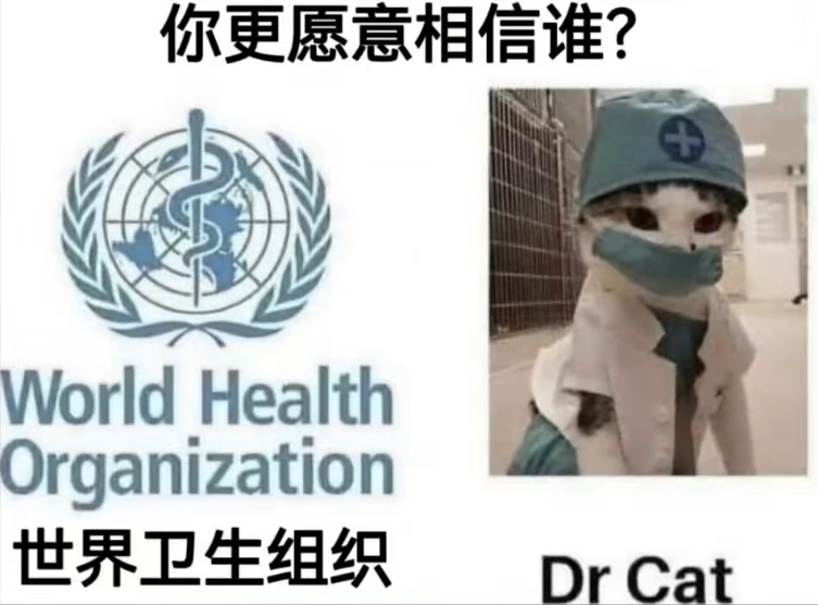 A meme contrasts the World Health Organization (WHO) logo with a cat dressed as a doctor, wearing a mask and lab coat, labeled "Dr. Cat". (Captioned by AI)
