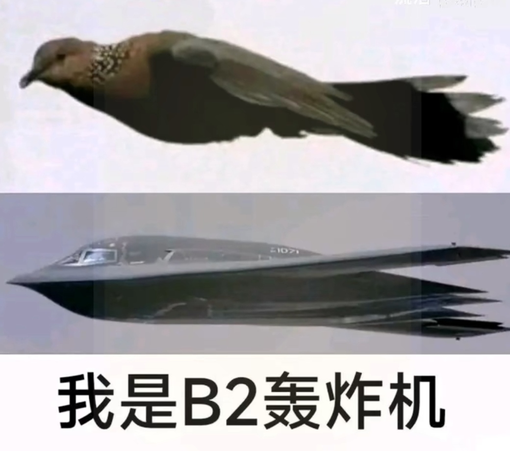 A bird is shown flying above a B-2 stealth bomber, with Chinese text below stating "I am a B2 bomber". (Captioned by AI)