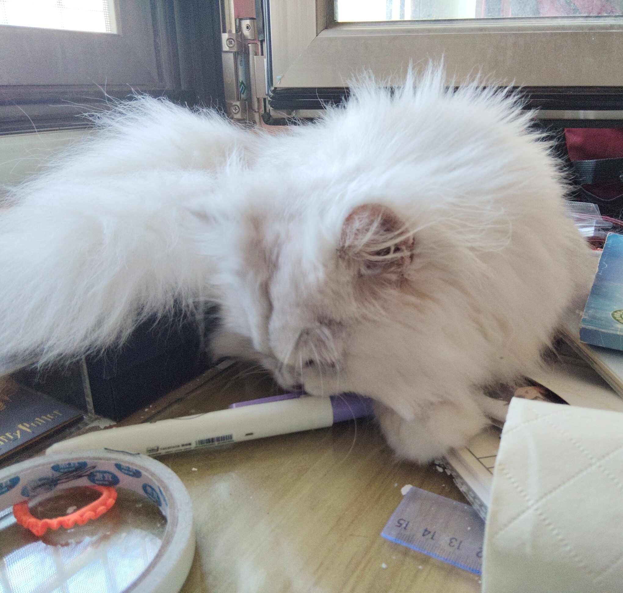 mmexport1756089959437