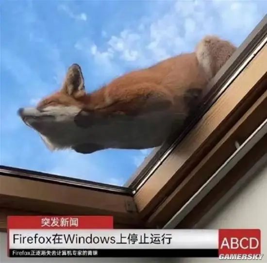 A fox is sleeping on a skylight window against a cloudy blue sky, with a news overlay at the bottom of the image. (Captioned by AI)