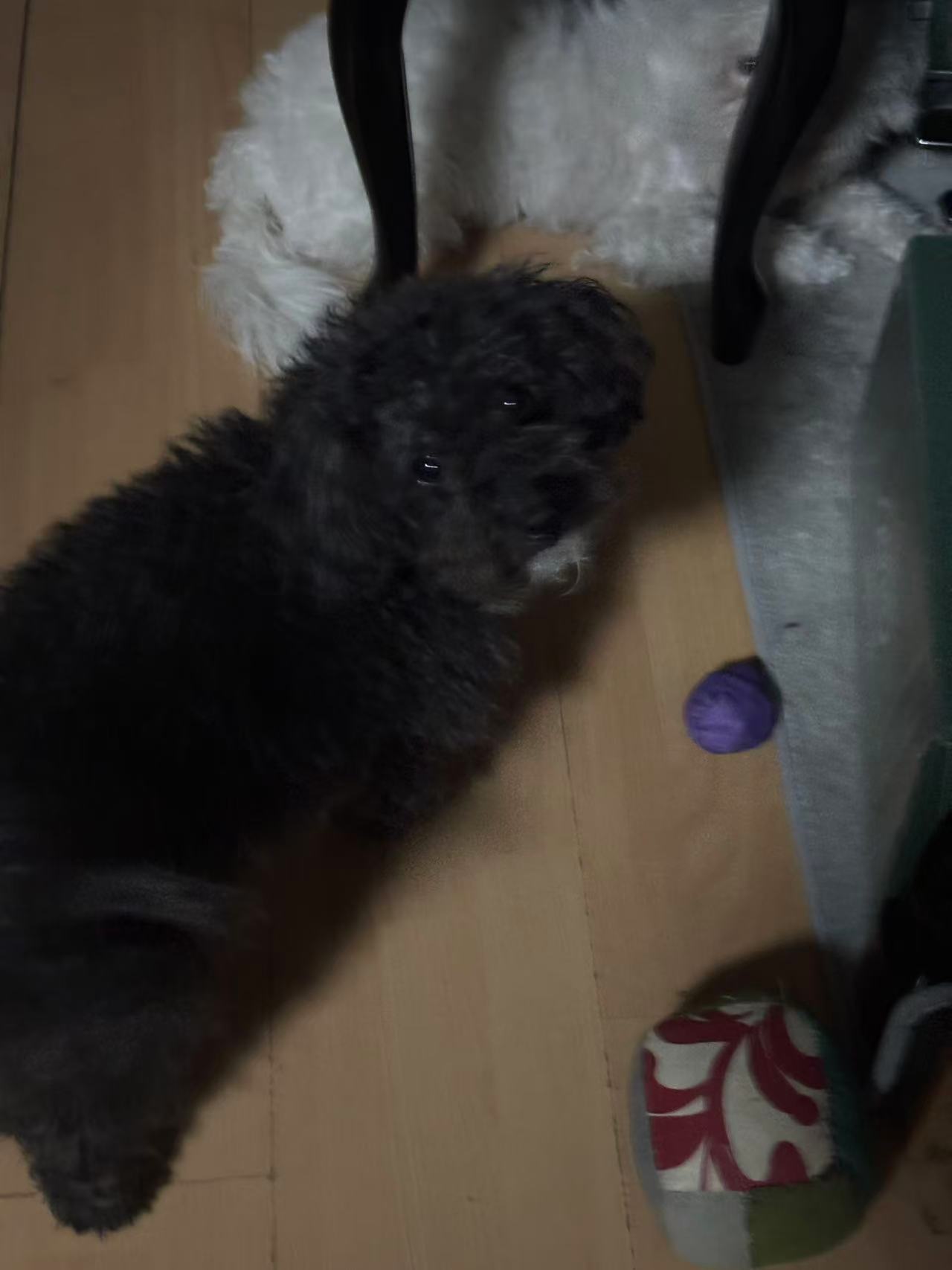 mmexport1768045317933