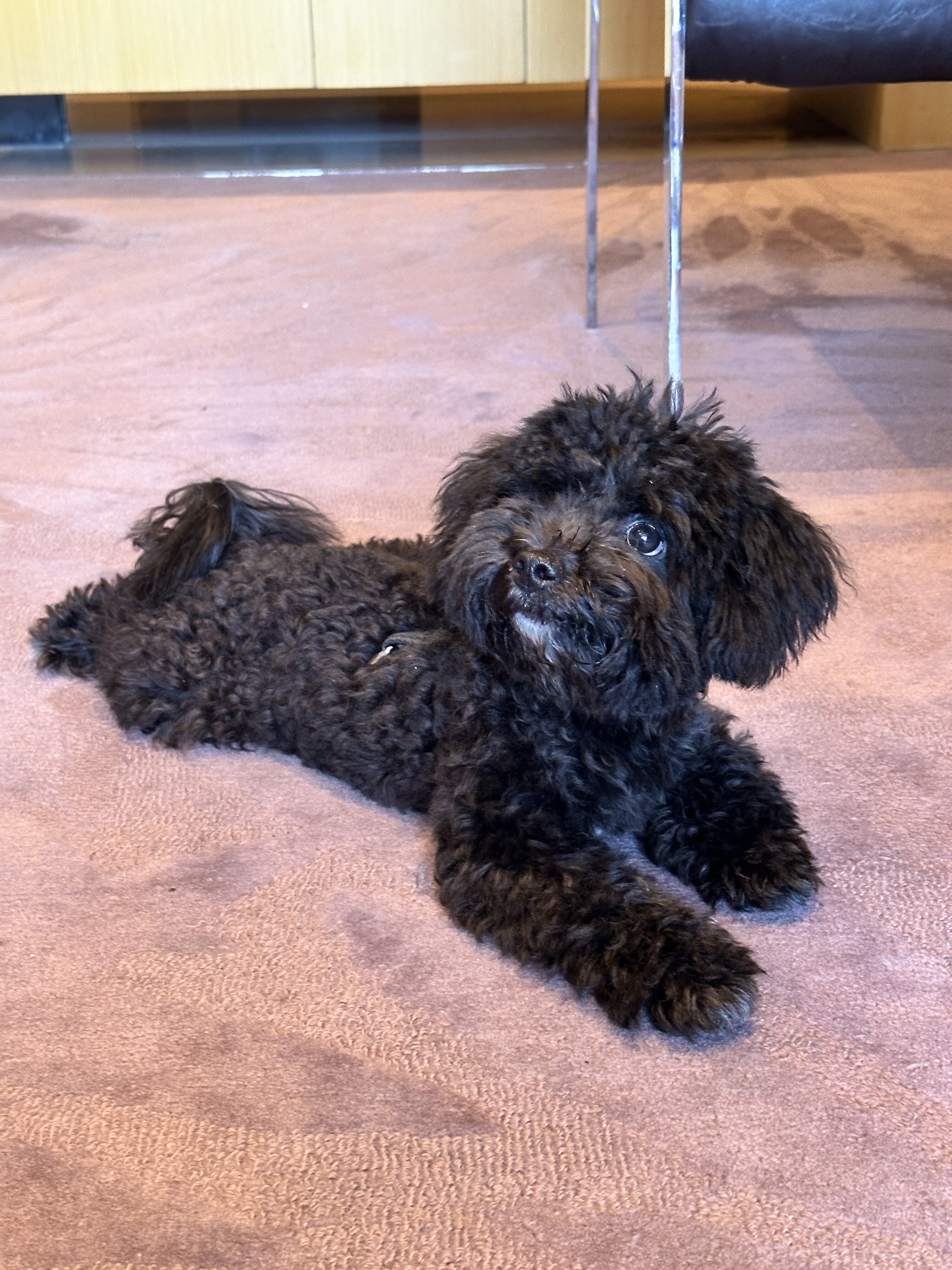 ad7d0b4c80901a8df9373d743354b518