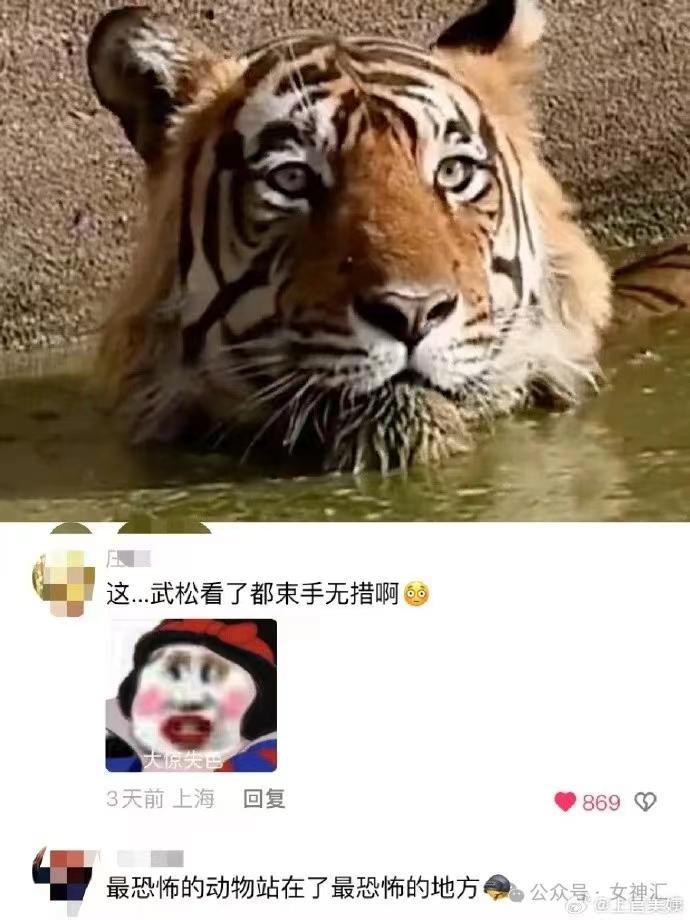 v2-dded948e05807280be58d526c07c9e8e_r