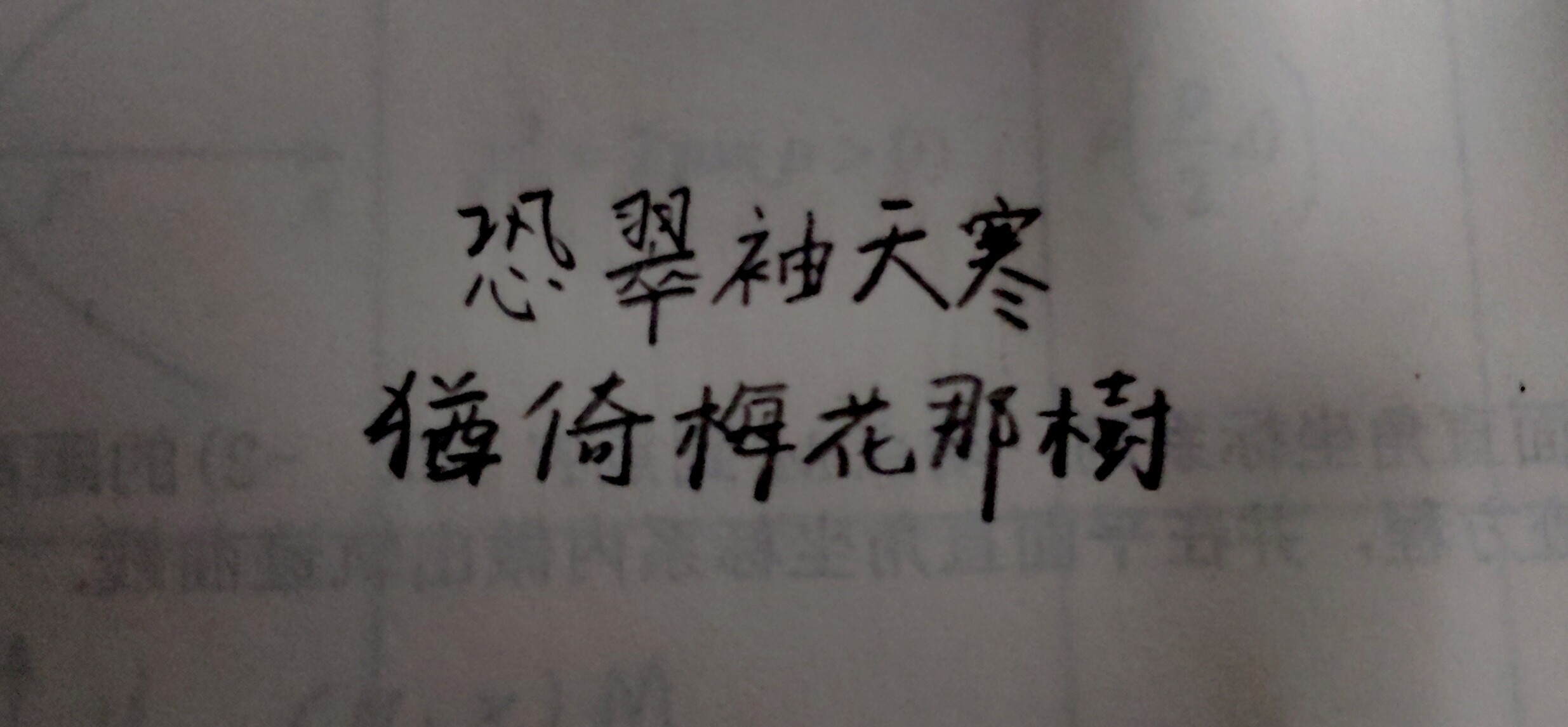 IMG_20260116_112558_edit_107153295759904