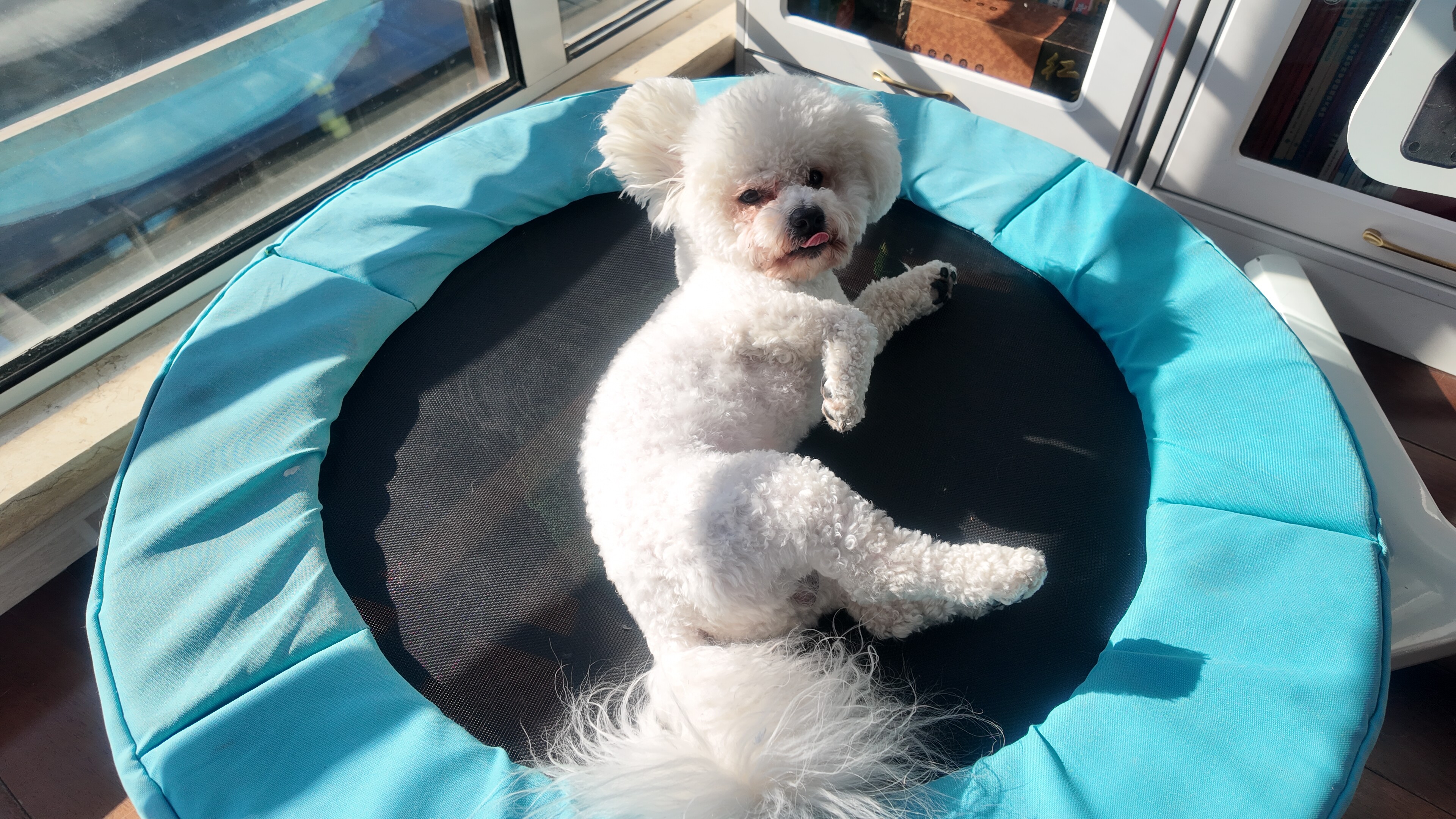 dji_mimo_20260111_112046_20260111112047_1768101713206_photo