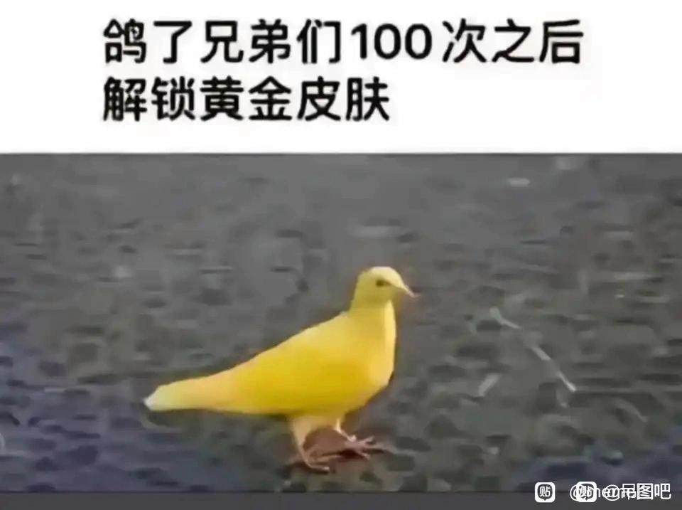 0EC274A3734D9642095991EFD070A794