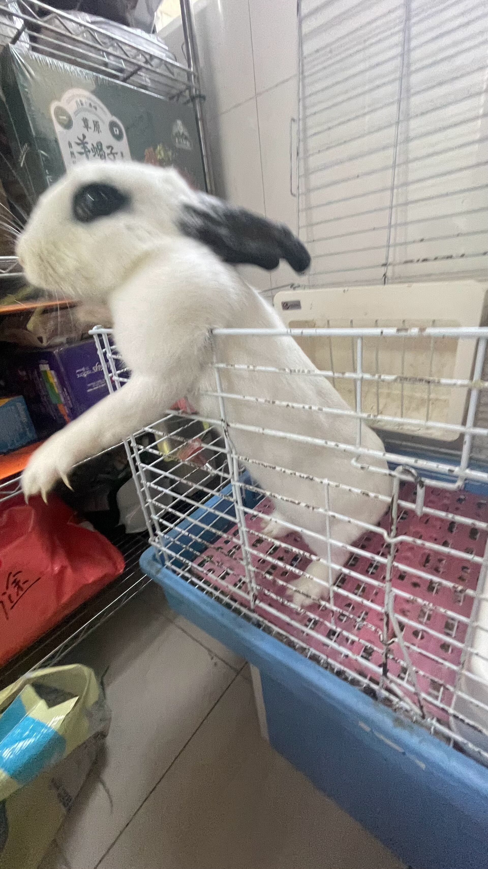 WecomSave_10796fc7c4996ee8d243c7145c7f20fa