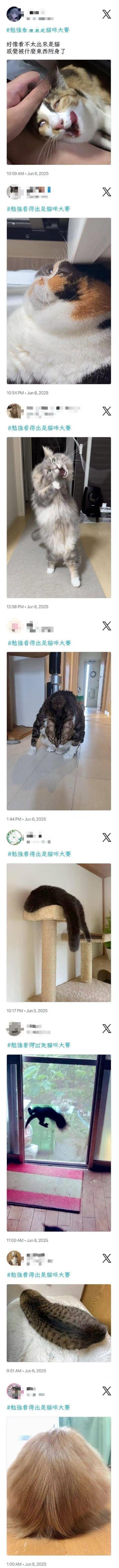 1777335000208