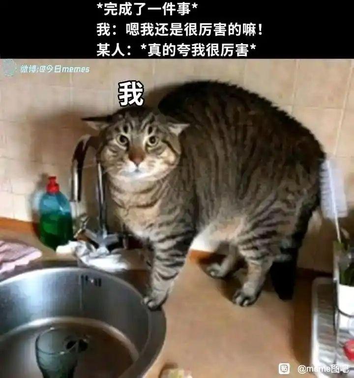 1777335011319