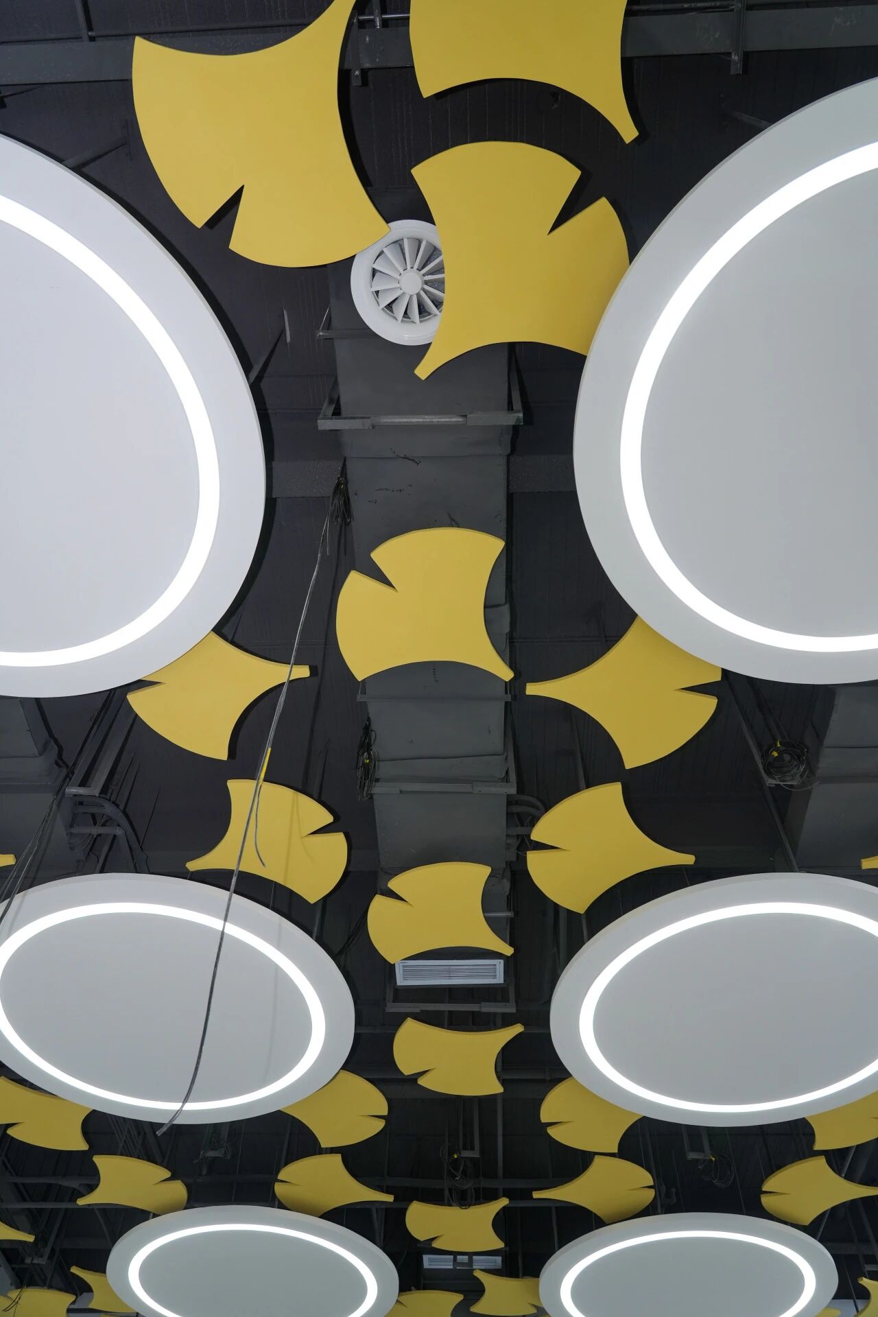 mmexport1773148206946