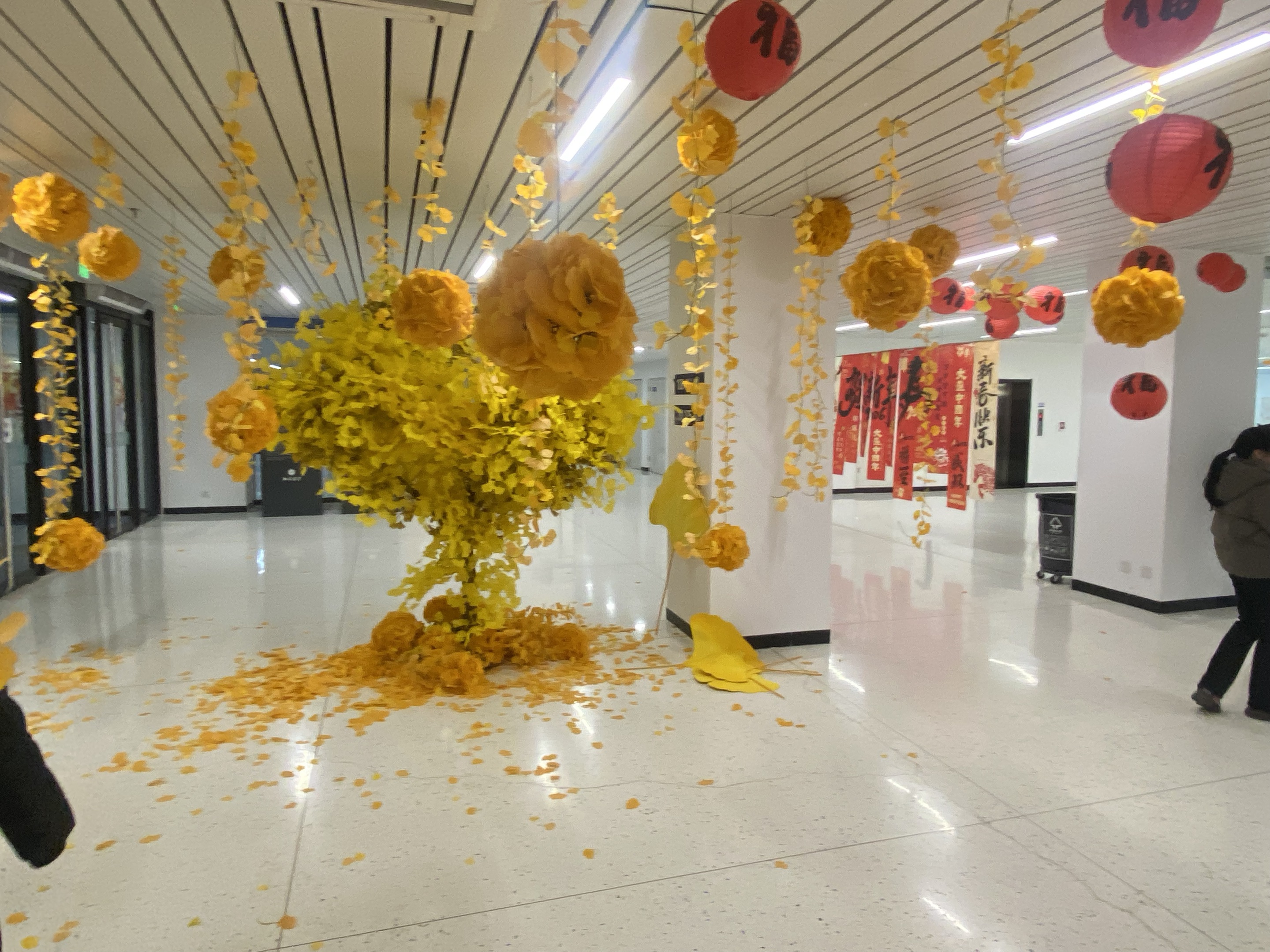 mmexport1767163493170