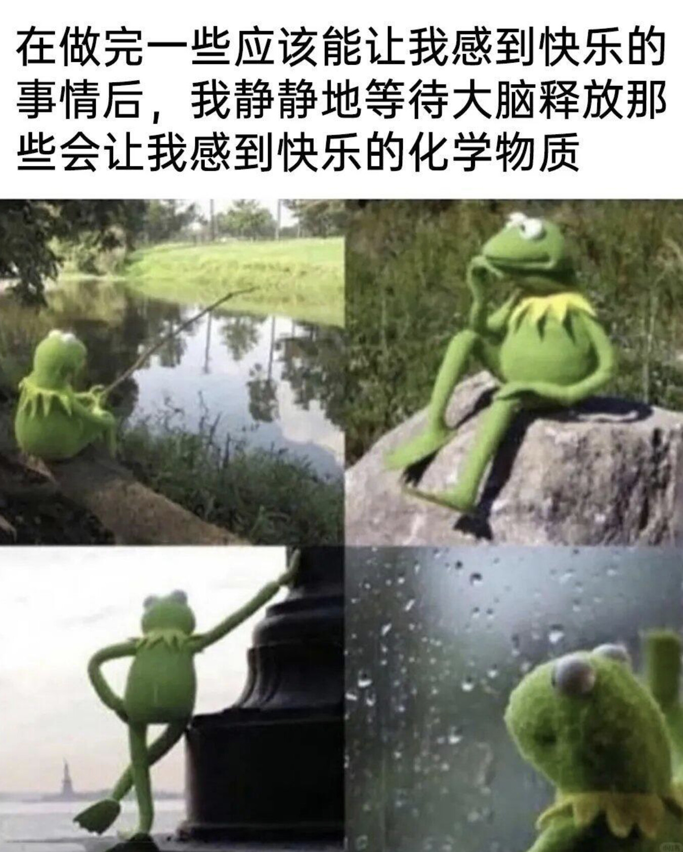 1777444432534