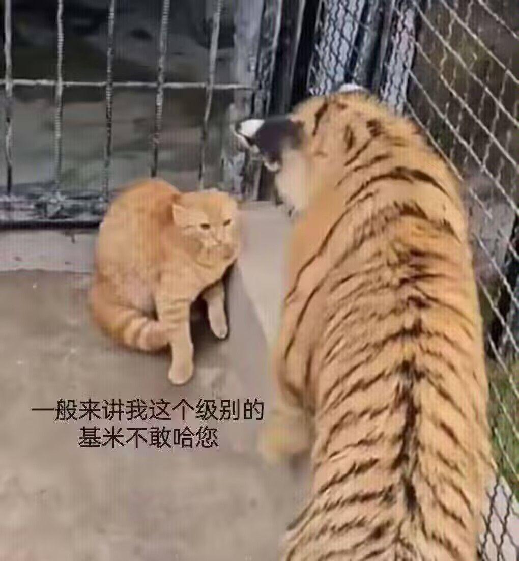 v2-a70936657c3fcc9ba9c35c3e0cfa850b_r