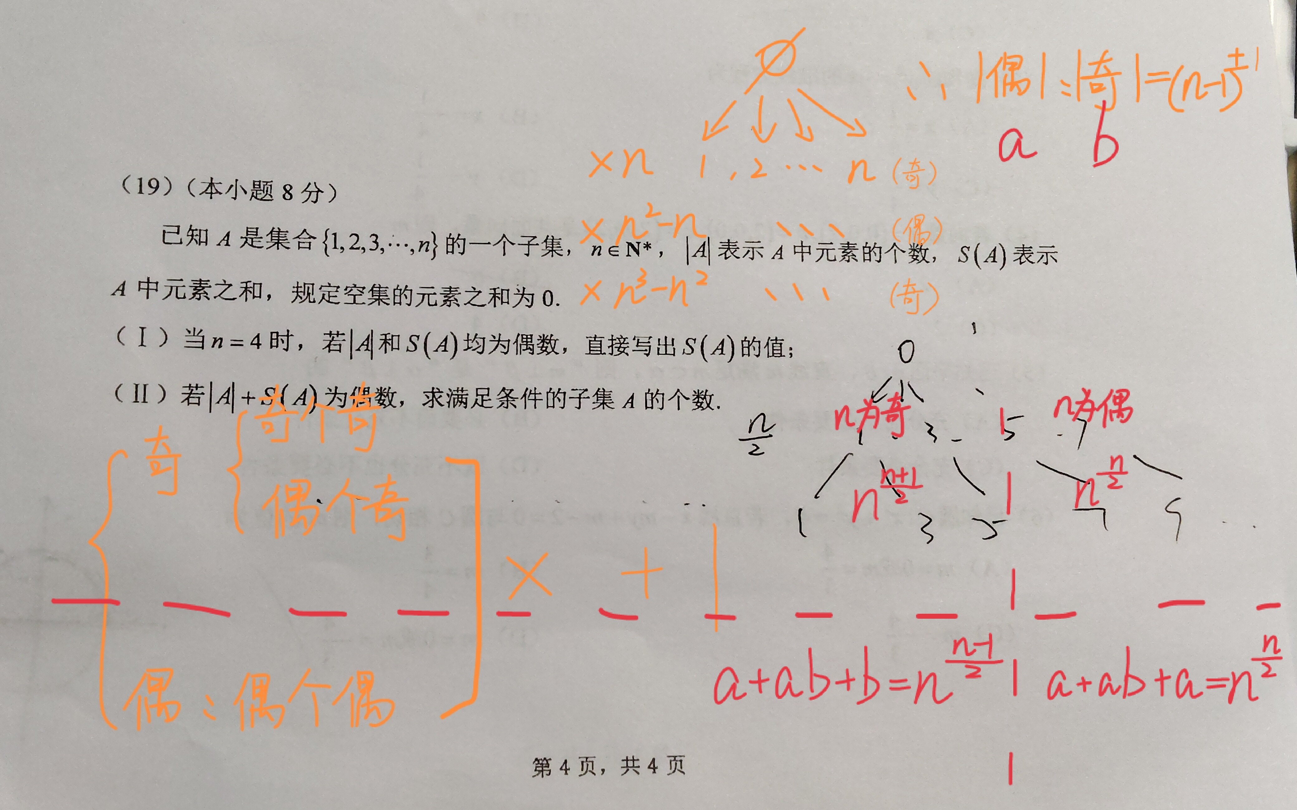 IMG_20260119_181841_edit_2232822724601107