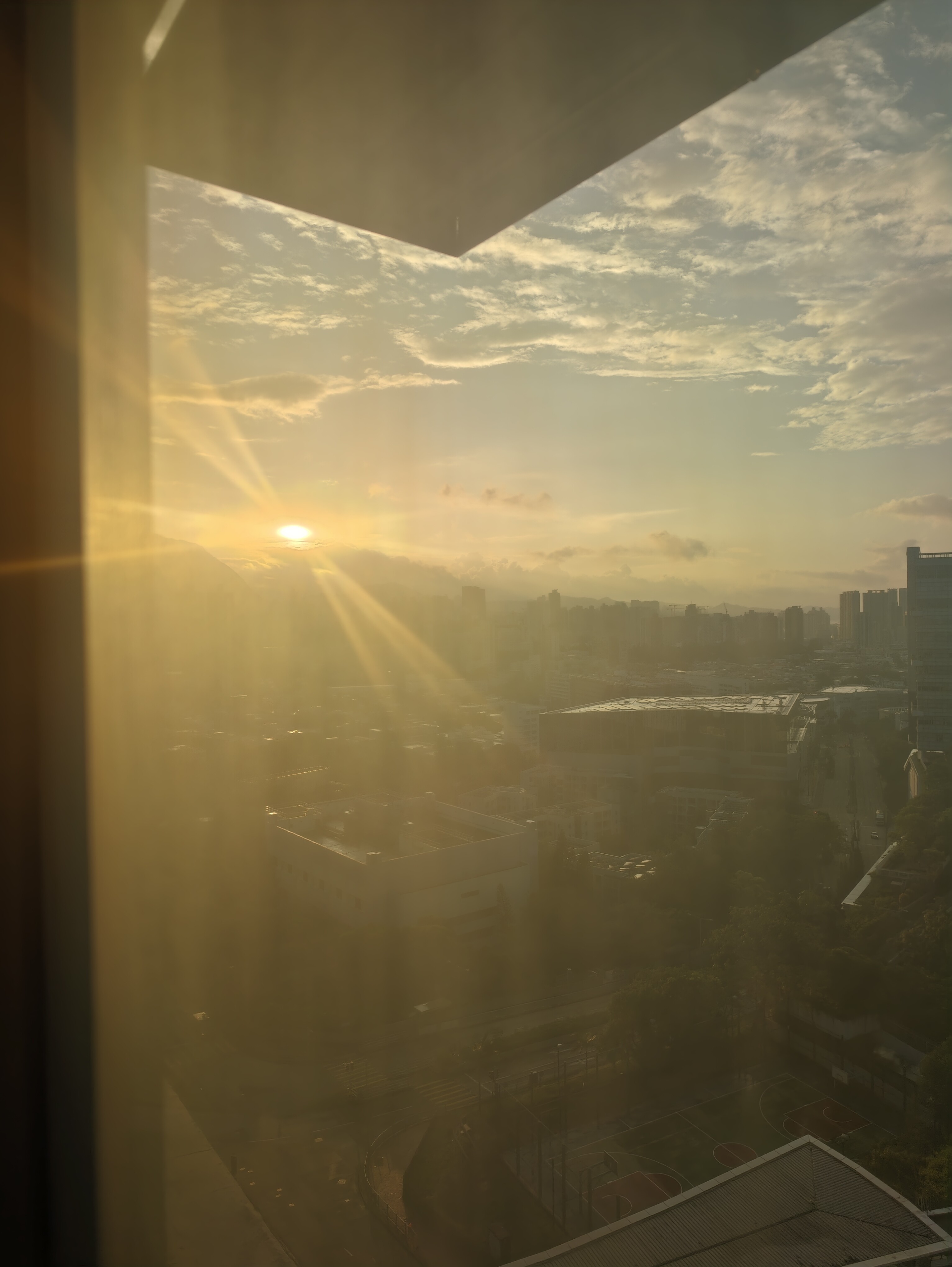 IMG20261004064220