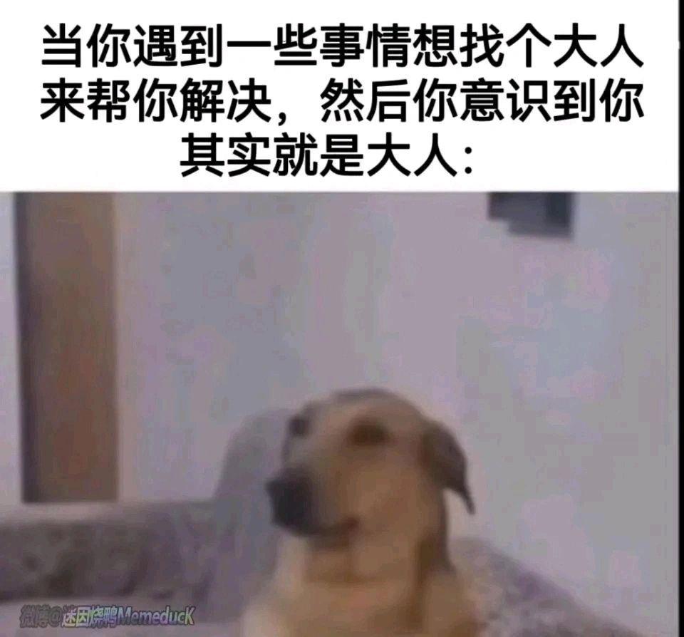 1777334990638