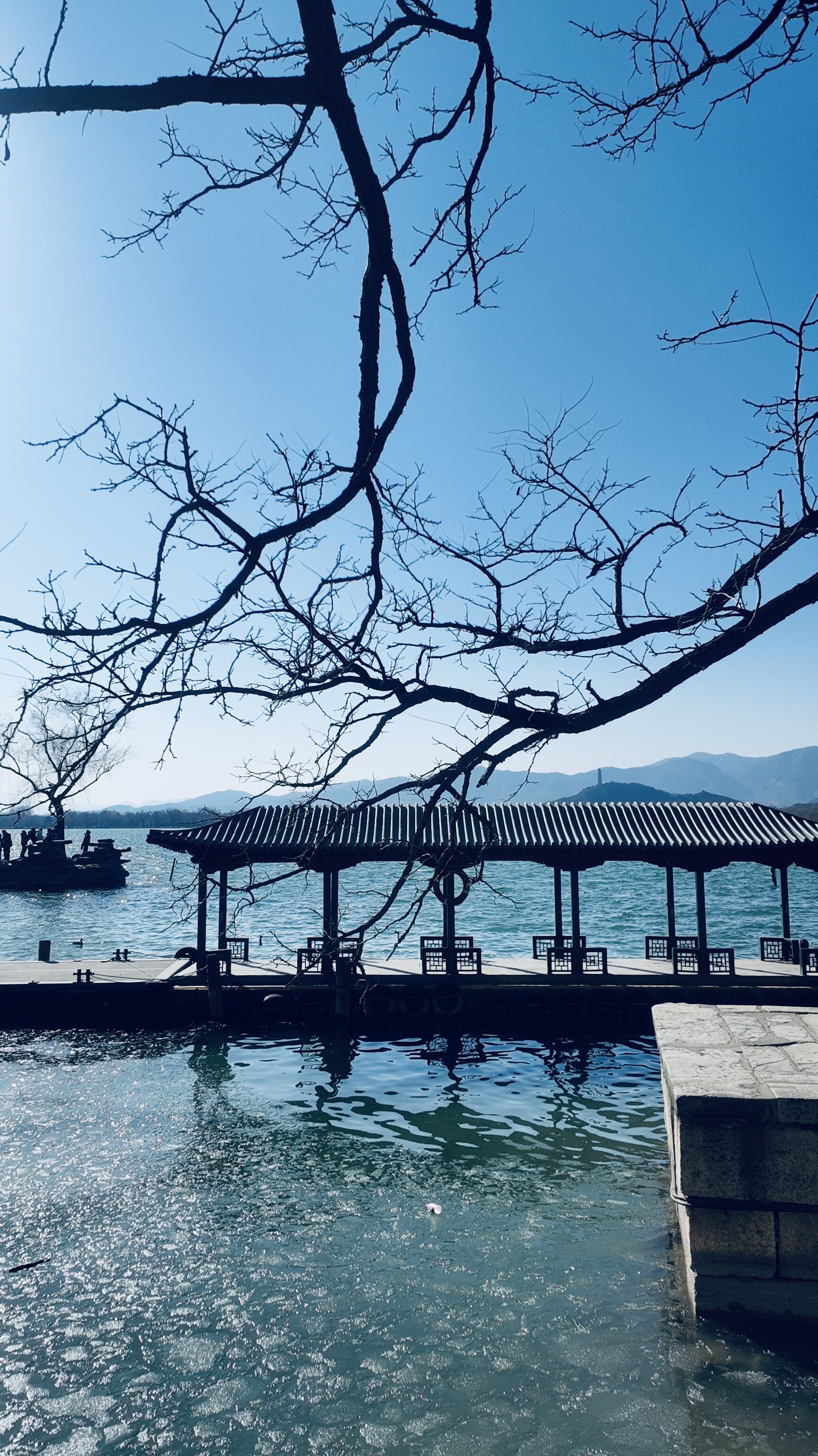 dji_mimo_20260218_143340_20260218143340_1771396826082_photo