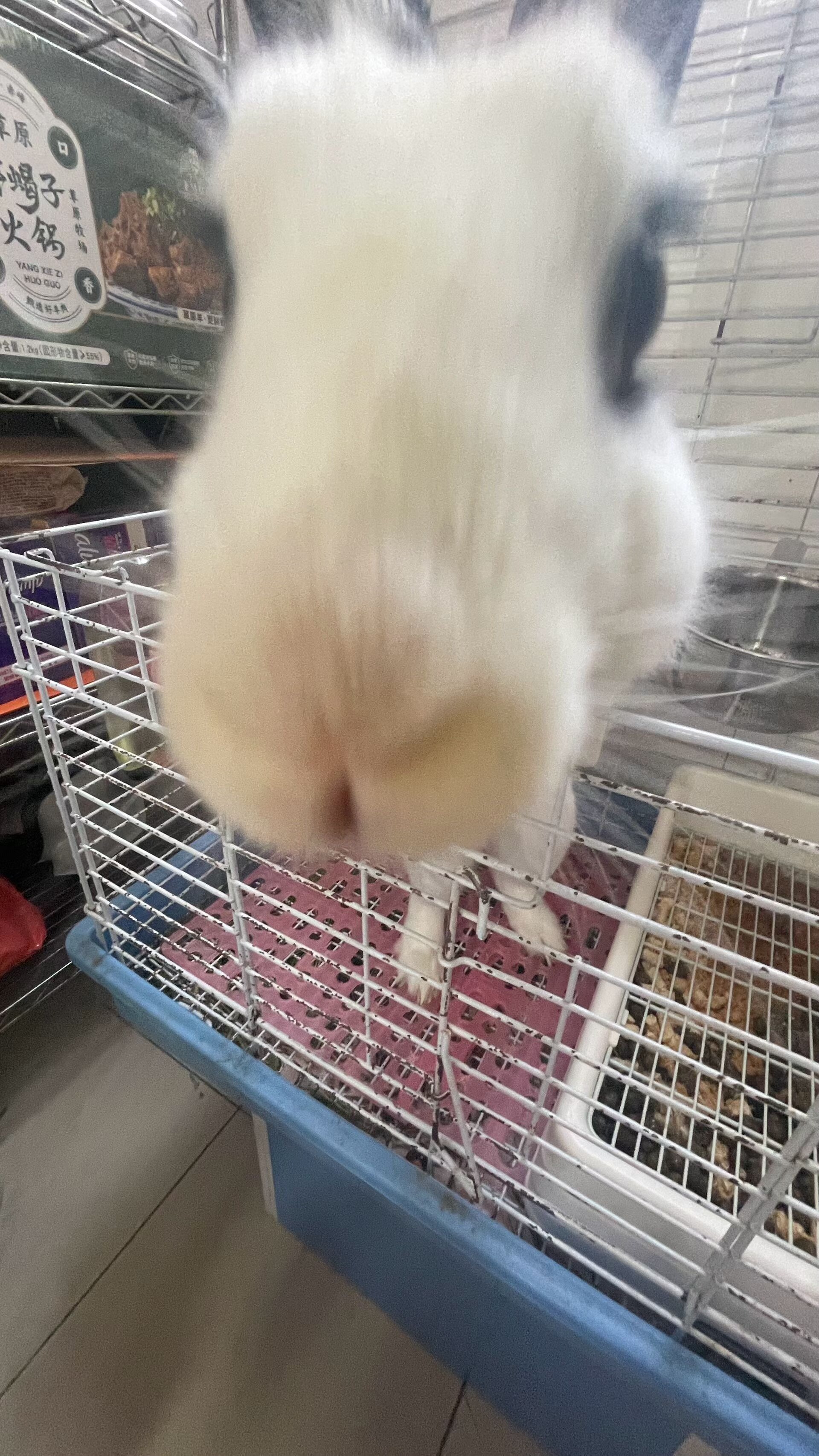 WecomSave_73e0cf71664a8aecc6e23f54c538b137